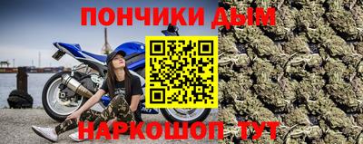 шишки Донской