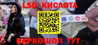 шишки Донской