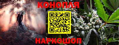 бошки Дубна