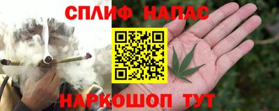 альфа пвп Заводоуковск