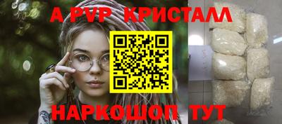 шишки Донской