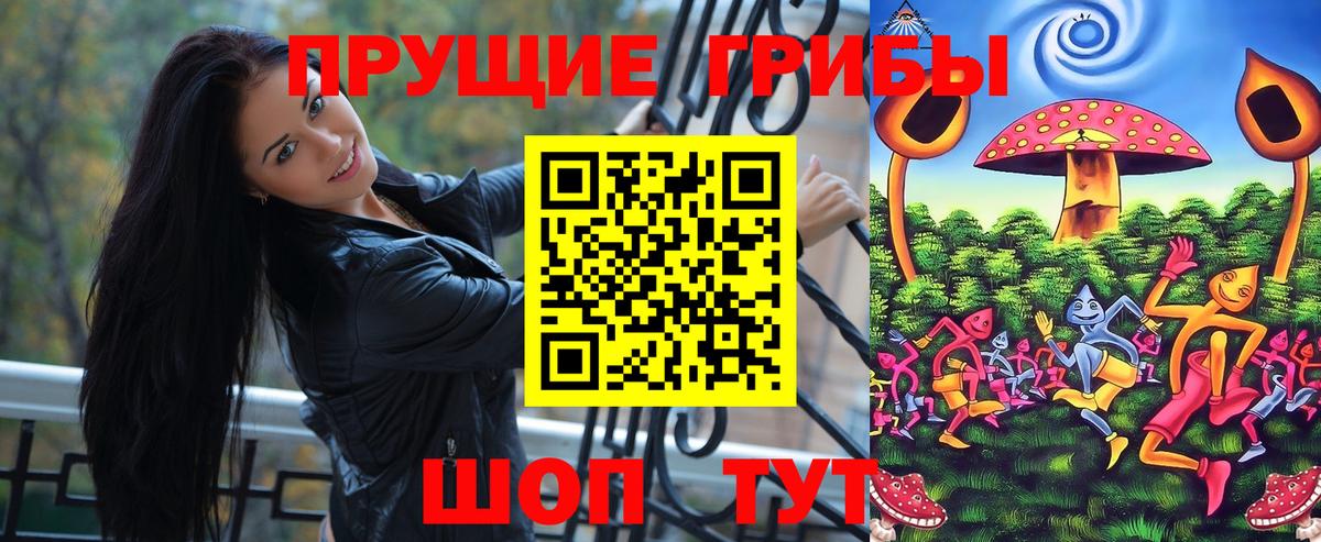 Галлюциногенные грибы Psilocybe  Новокубанск 