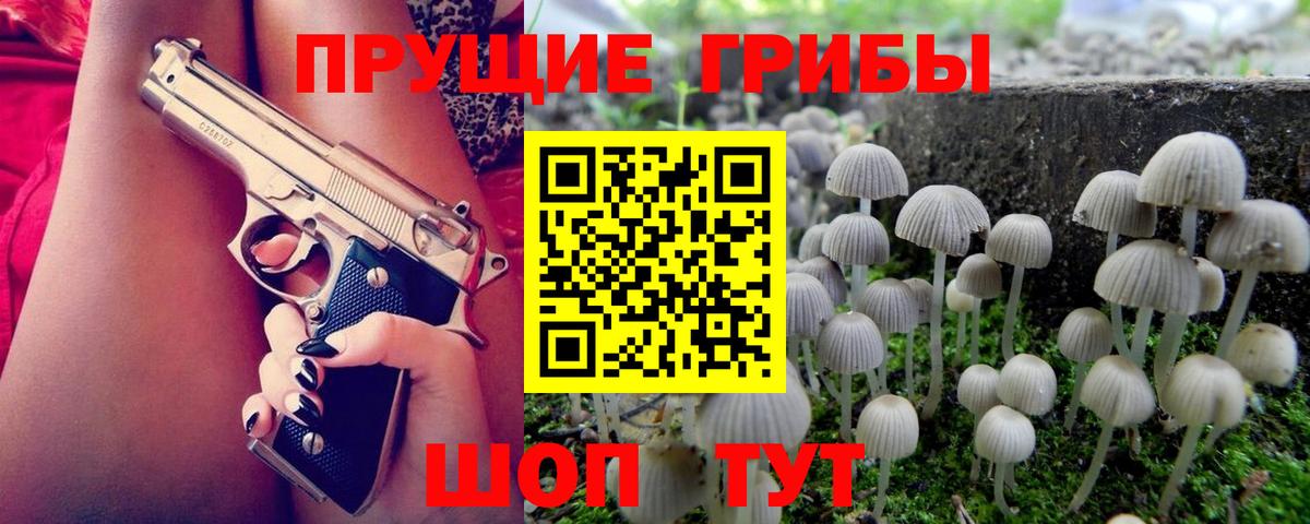 Галлюциногенные грибы Magic Shrooms  Вход с VPN  Новокубанск 