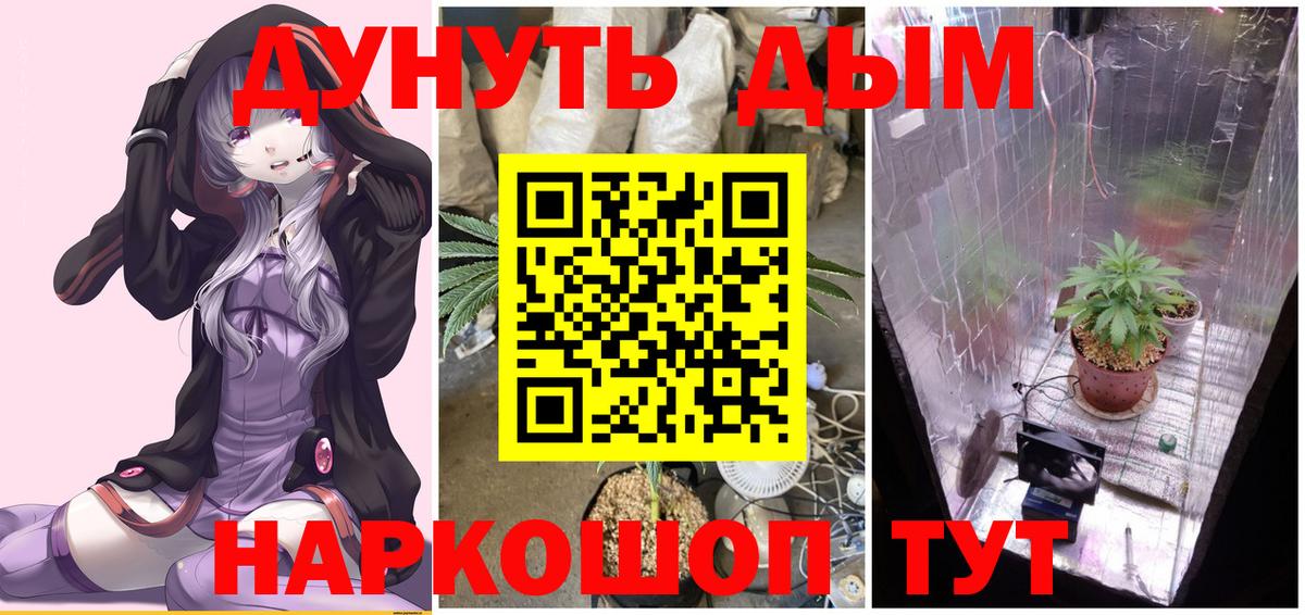 Марихуана конопля  Вход с VPN  Новокубанск  Канабис планчик 